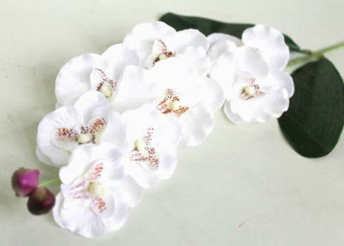 В7493 Ветка орхидеи