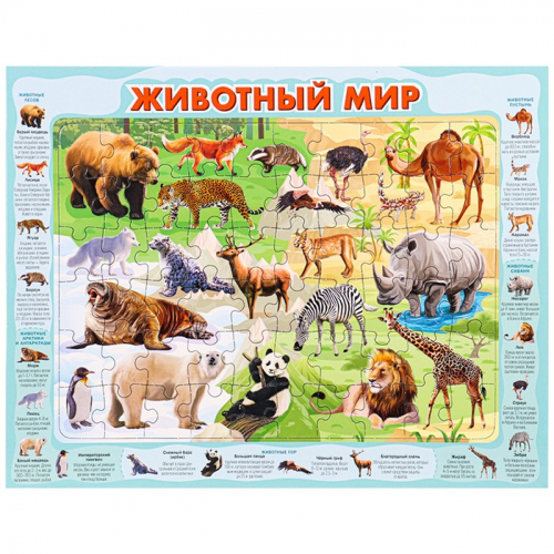 Пазл-рамка 60 Животный мир П60-8737. в Нижнем Новгороде