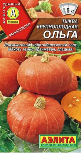 Тыква Ольга Аэлита