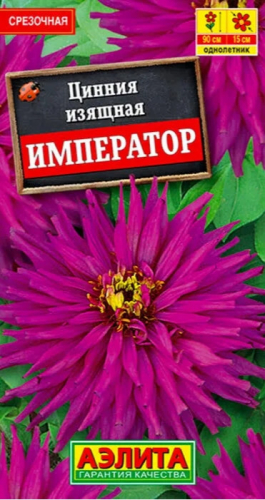 Цинния Император Аэлита