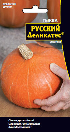 Тыква Русский Деликатес Ур.Дачник