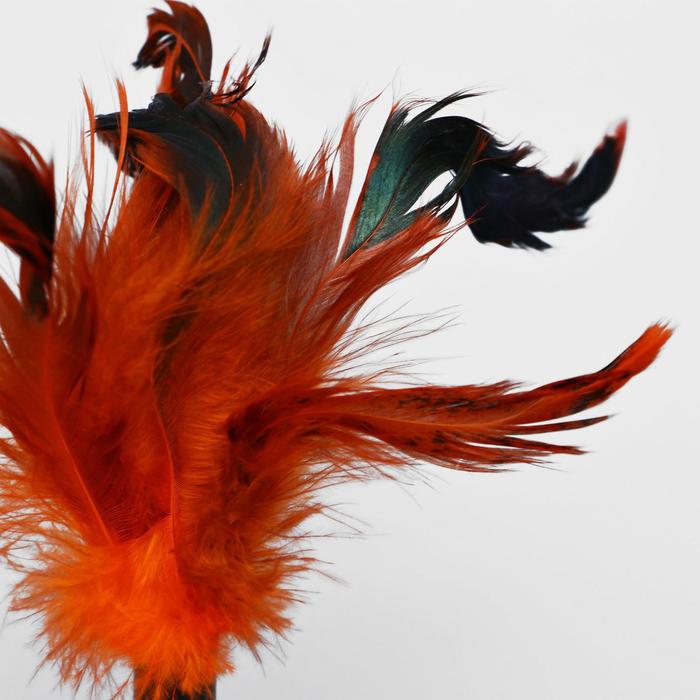 Игрушка-неваляшка для кошек, с перьями, цвет МИКС