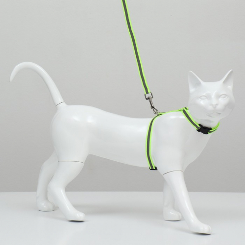 Комплект для кошек светоотражающий,ширина 1 см,шлейка 21-35 см,поводок 120 см, зелёный