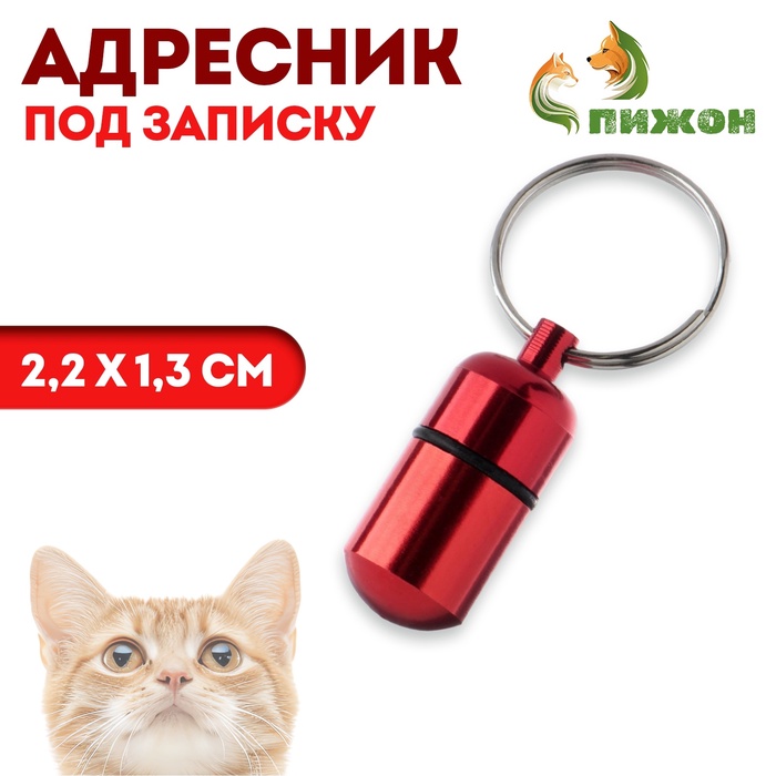 Адресник - капсула под записку, 2,2 х 1,3 см, бордовый