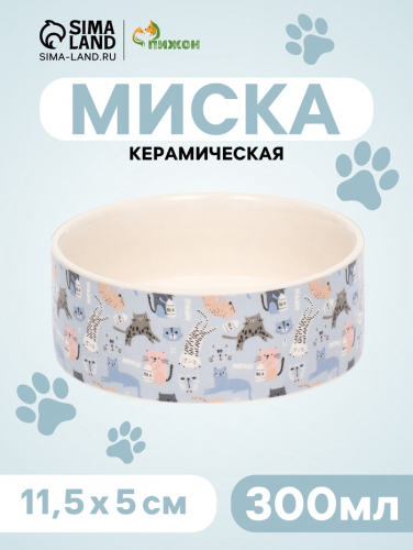 Миска керамическая 