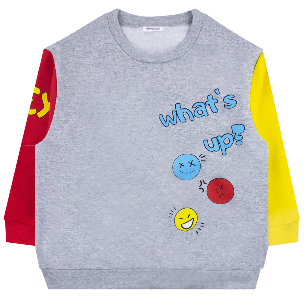 Толстовка футер 2х нитка начёс 1689310101