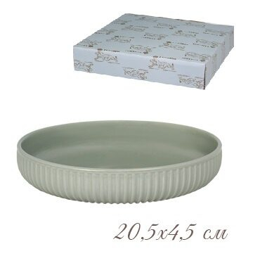 Форма (тарелка) круглая 20,5х4,5см. в под.уп.(х24)
