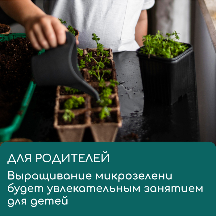 Коврик джутовый для выращивания микрозелени, 10×15 см, толщина 1 см, набор 5 шт.