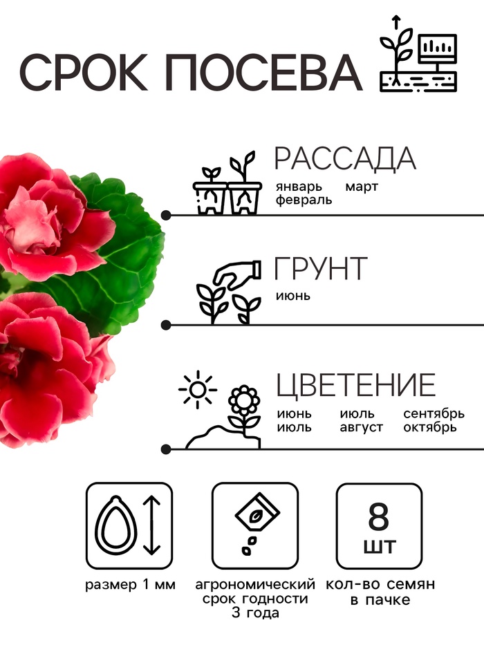 Семена комнатных цветов Глоксиния Аванти
