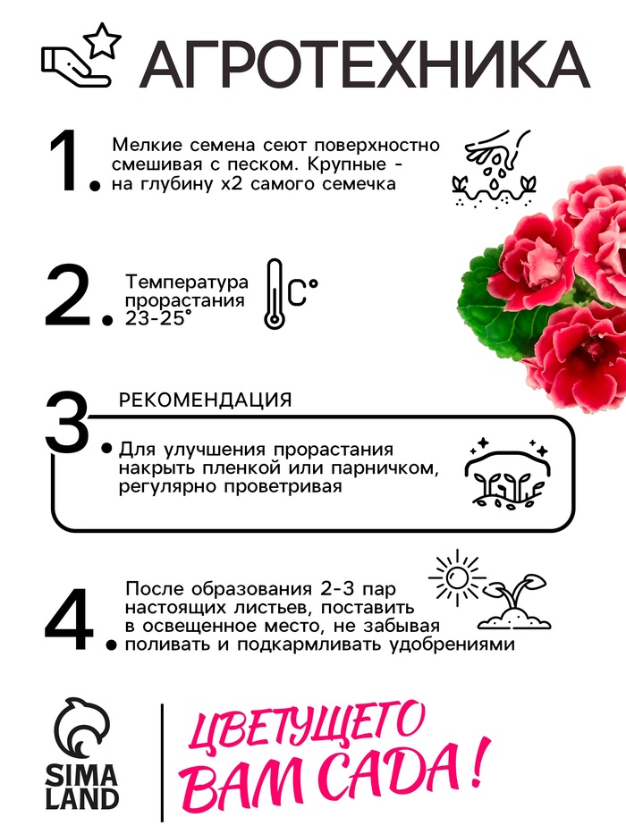 Семена комнатных цветов Глоксиния Аванти