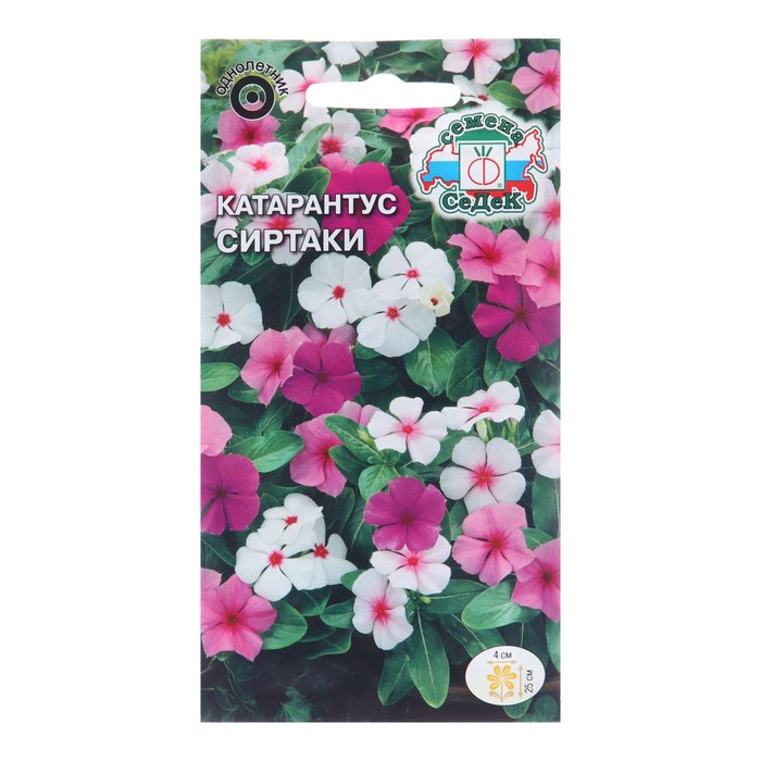 Семена цветов катарантус барвинок «Сиртаки», 0.1 г