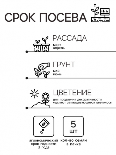 Семена комнатных цветов Колеус 