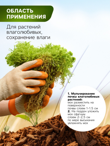 Мох сфагнум для террариумов 