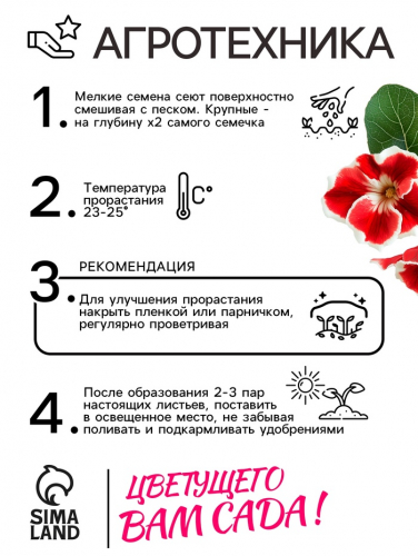 Семена комнатных цветов Глоксиния Аванти 