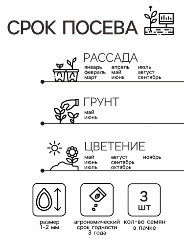 Семена комнатных цветов Пеларгония 