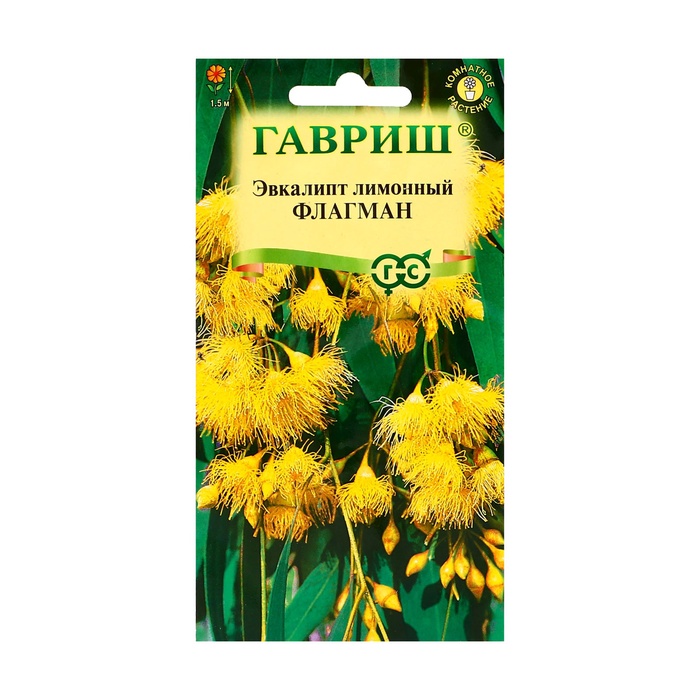 Семена комнатных цветов Эвкалипт