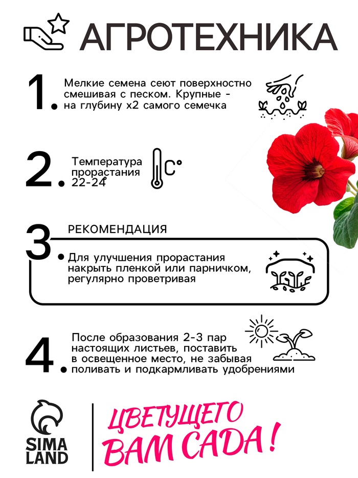 Семена комнатных цветов Глоксиния