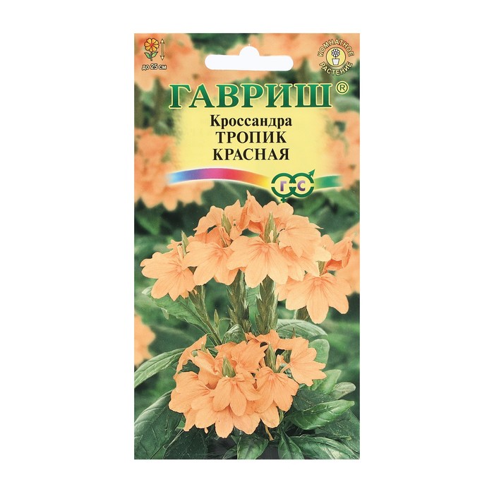 Семена цветов Кроссандра