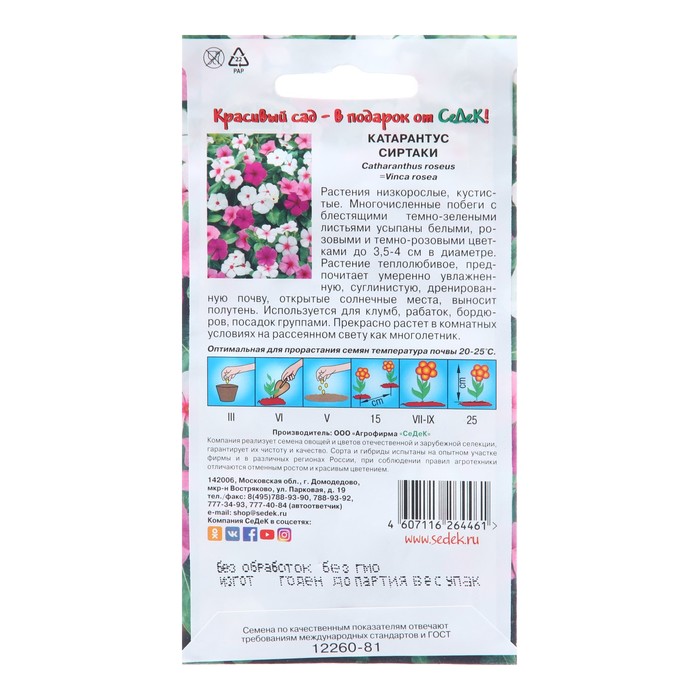 Семена цветов катарантус барвинок «Сиртаки», 0.1 г