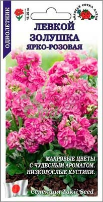 Цветы Левкой Золушка ярко-розовая (10 шт) Сотка