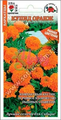 Цветы Бархатцы Купид Оранж прям. (0,1 г) Сотка