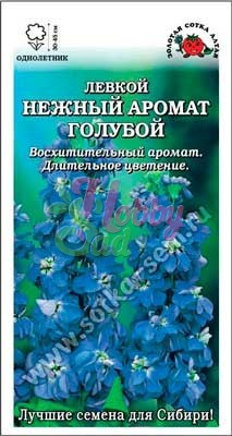 Цветы Левкой Нежный Аромат голубой (0,1 г) Сотка
