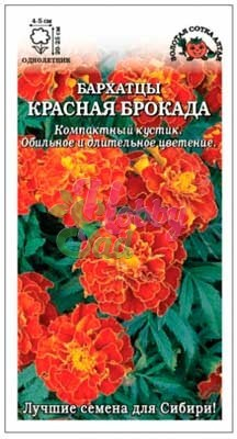Цветы Бархатцы Красная брокада (0,2 г) Сотка