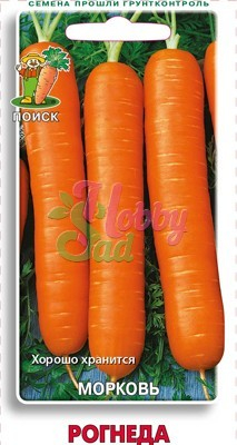 Морковь Рогнеда (2 гр) Поиск