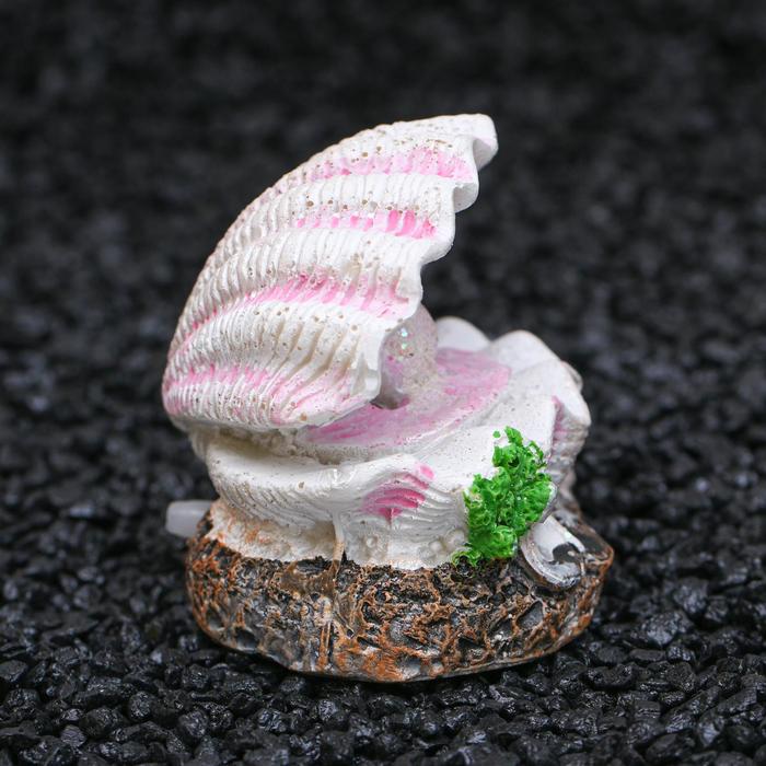 Распылитель «Раковина с жемчужиной», 5×3.5×5 см