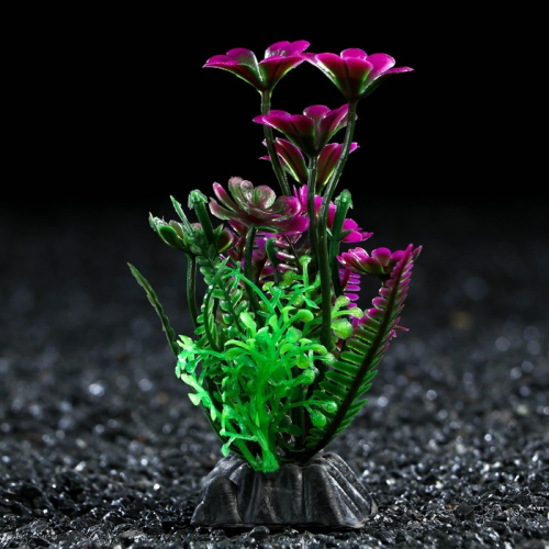 Растение искусственное аквариумное, 3 х 9 см, фиолетово-зелёное