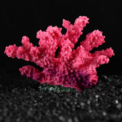 Декоративный коралл 