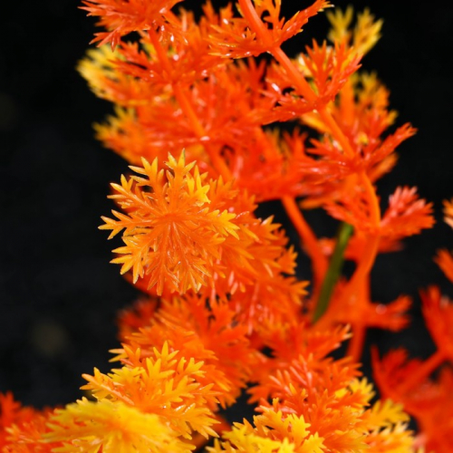Растение искусственное аквариумное, 6 х 24 см, оранжевое