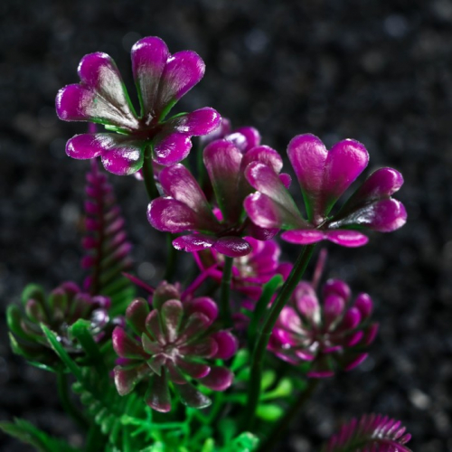 Растение искусственное аквариумное, 3 х 9 см, фиолетово-зелёное