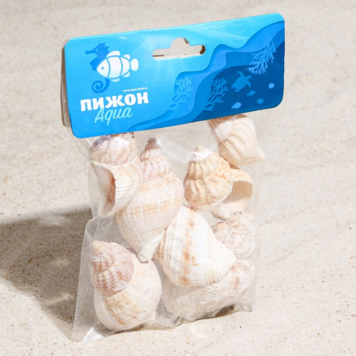 Набор ракушек Horse conch, 100 г