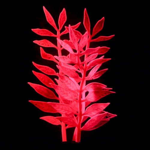 Растение силиконовое аквариумное, светящееся в темноте, 8 х 15 см, розовое