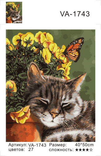 Картины по номерам Дремлющий кот