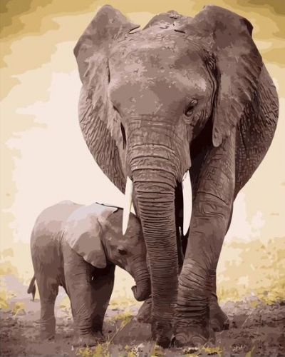 Картины по номерам Слониха со слоненком