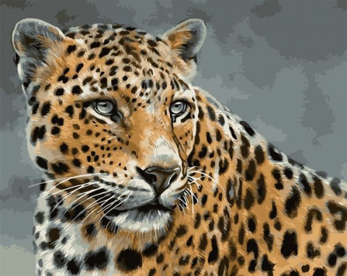 Картины по номерам Грациозный леопард