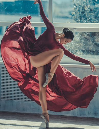 Картина по номерам 40х50 Грациозная танцовщица