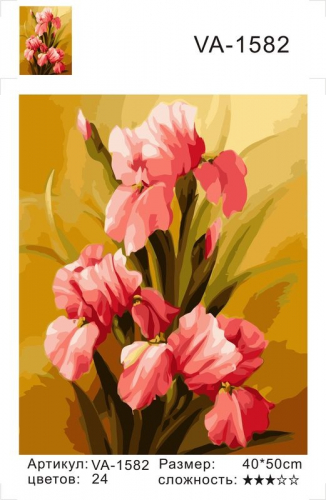 Картины по номерам Розовый цветок