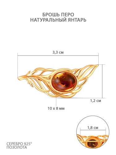 Брошь из золочёного серебра с натуральным янтарём - Перо бр-010з440