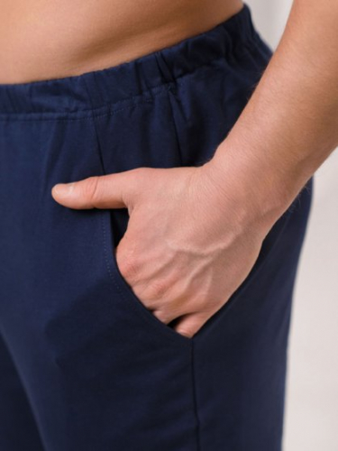 Мужские брюки, Глория трикотаж, М3-246 оптом