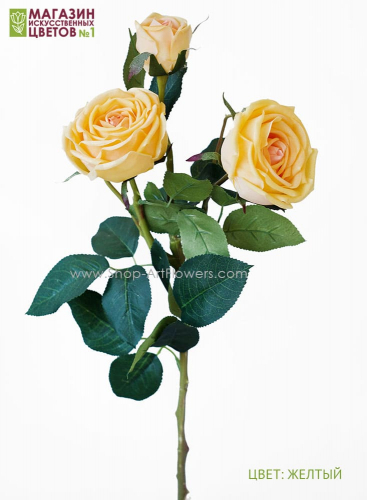Роза пионовидная 3 бутона - желтый