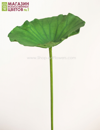 Лист лотоса, 70 см. - зеленый