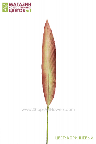 Лист аспидистры - 2 расцветки - коричневый