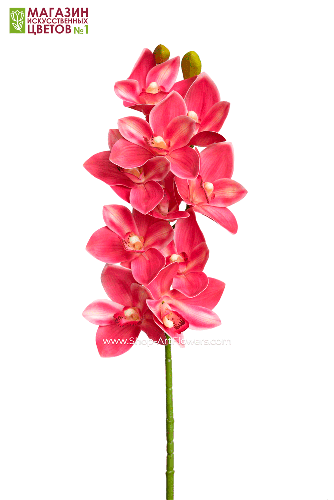 Орхидея Цимбидиум 3D - темно-розовый
