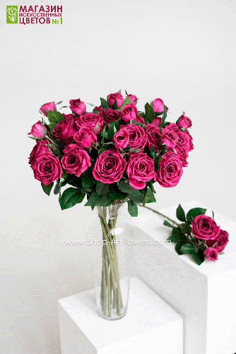 Роза пионовидная 3 бутона - бордово-фиолетовый
