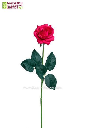 Роза малая - красный
