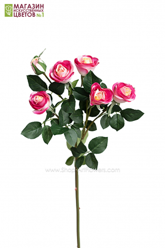 Роза кустовая 6 бутонов - малиновый-желтый