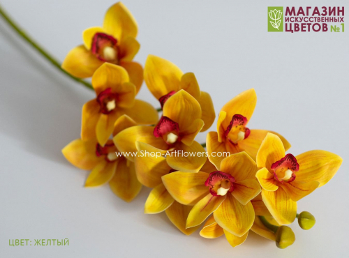Орхидея Цимбидиум 3D - желтый